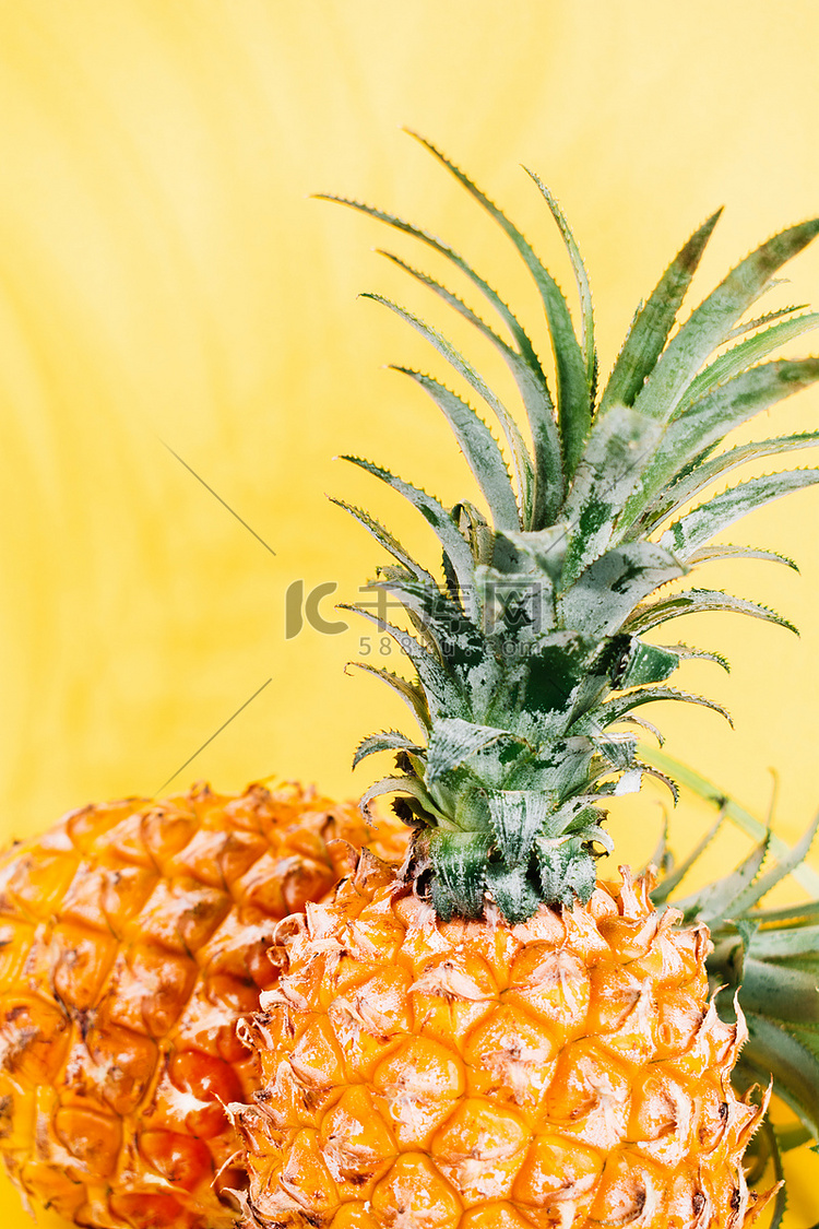 菠萝摄影图