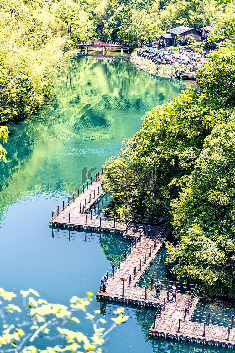 水面桥和树木摄影图