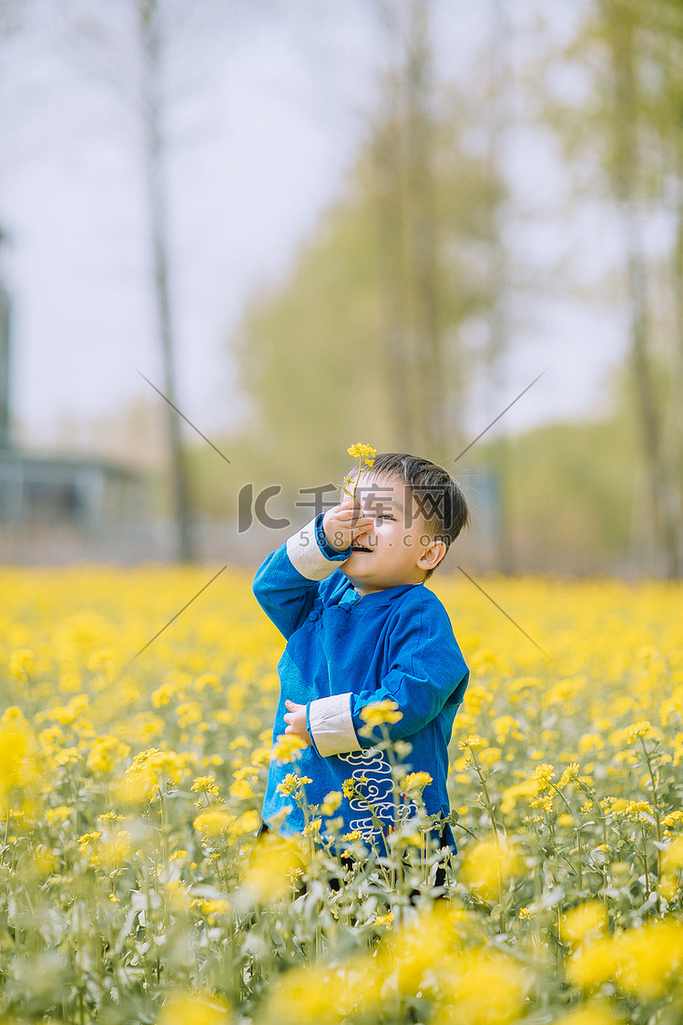 油菜花地里面的小男孩