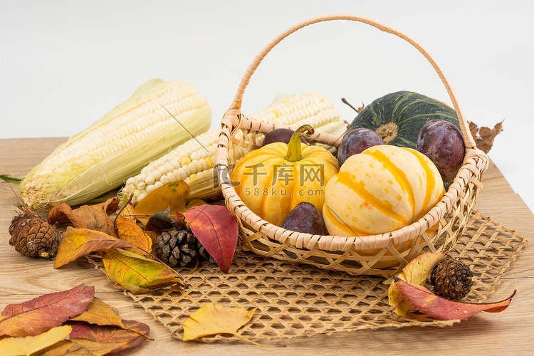 秋季南瓜玉米摄影图