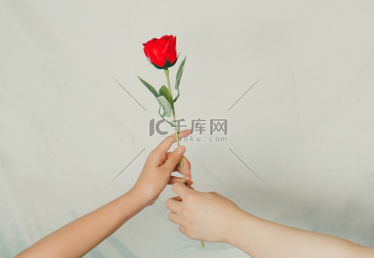 手拿玫瑰花摄影图