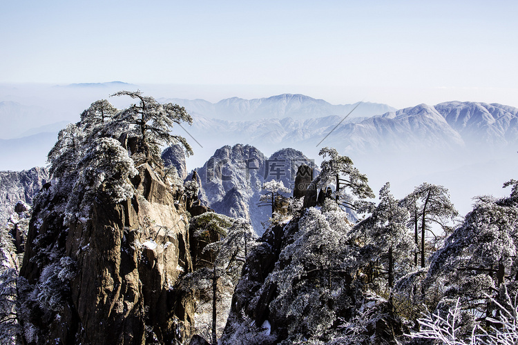 树木群山和白雪摄影图