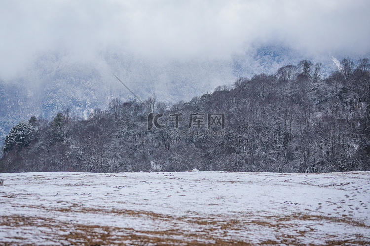 草地雪景摄影图