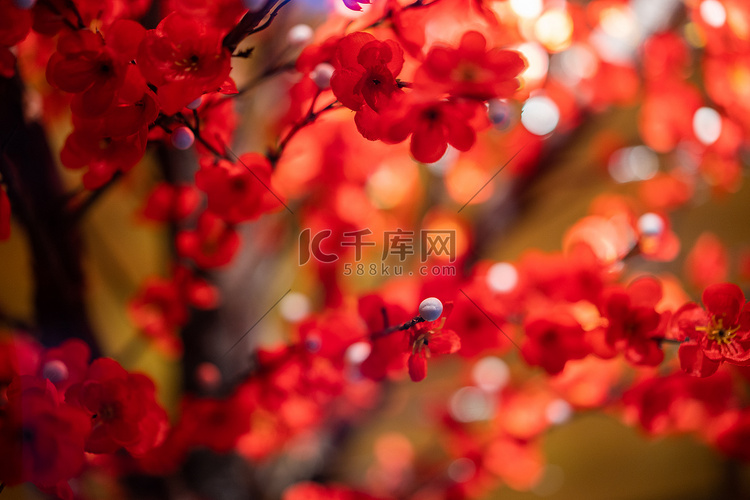 红色景观花卉植物摄影图