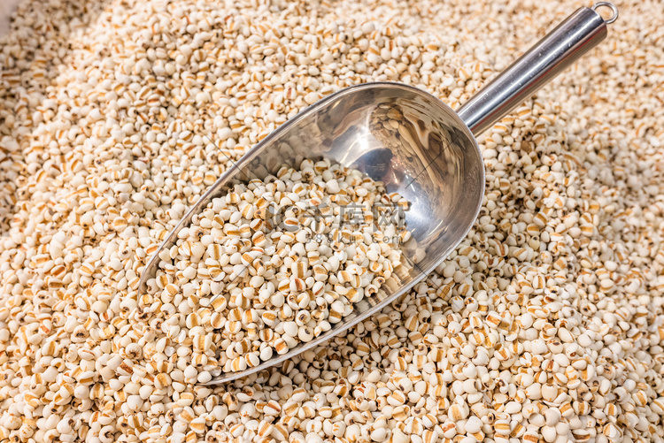 粮食食品谷物薏米薏仁摄影图配图
