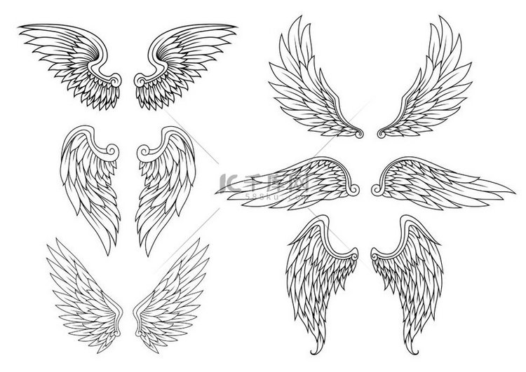 用于纹身或吉祥物设计的纹章翅膀