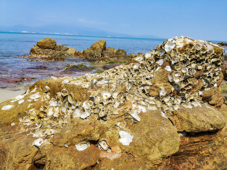 海边中午贝壳石头大海摄影图配图