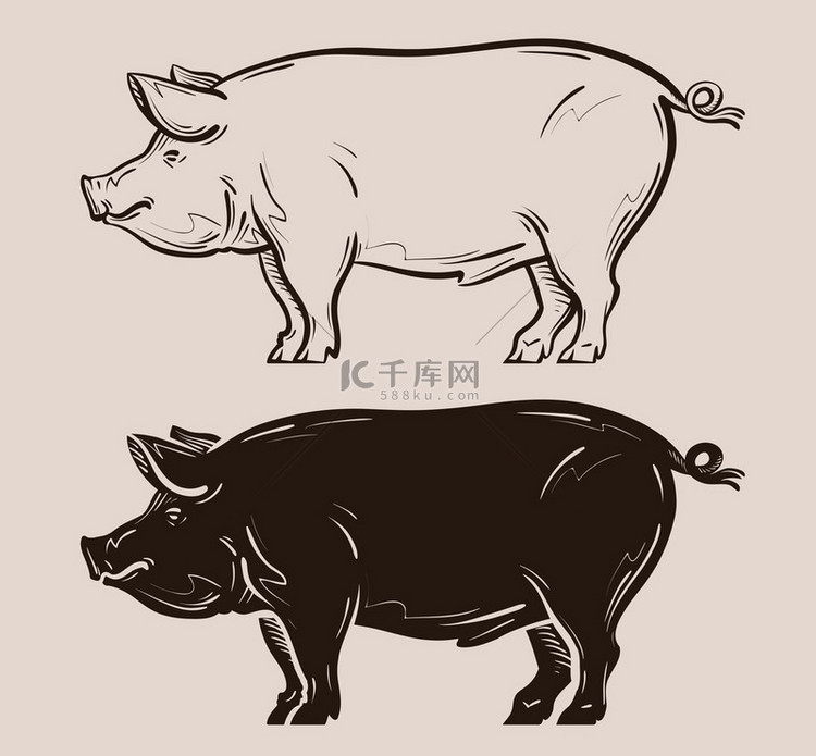 猪矢量标志。农场、 猪肉、 猪