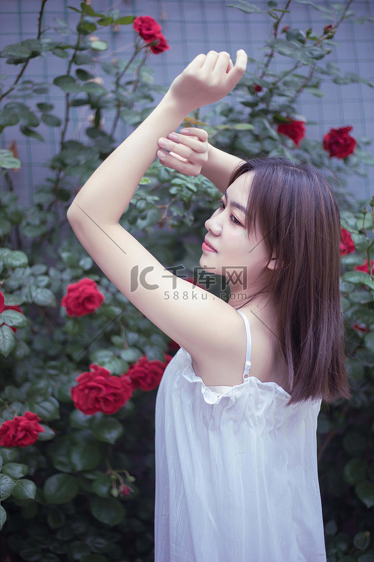 夏季白天蔷薇花美女户外花草摄影