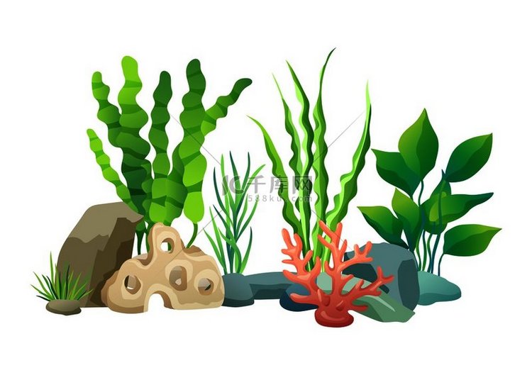 深海的绿色植被放在水族馆里的装