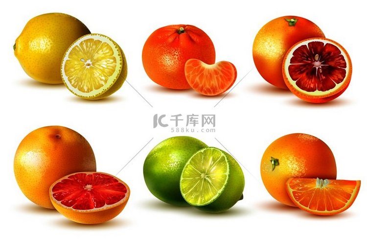 现实的柑橘类水果与柠檬酸橙葡萄
