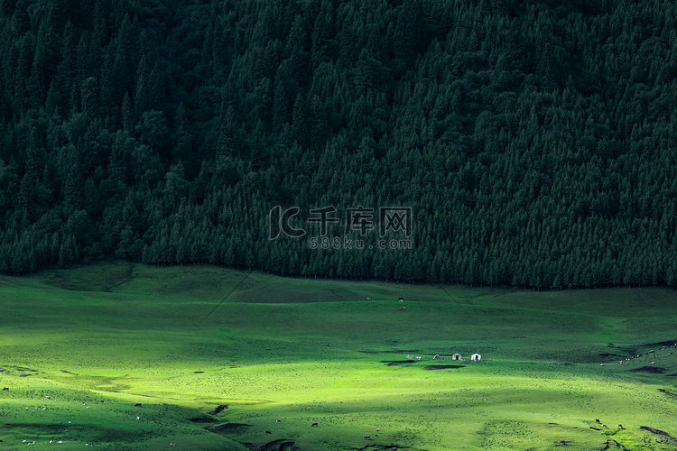 草原清晨毡房山坡放牧摄影图配图