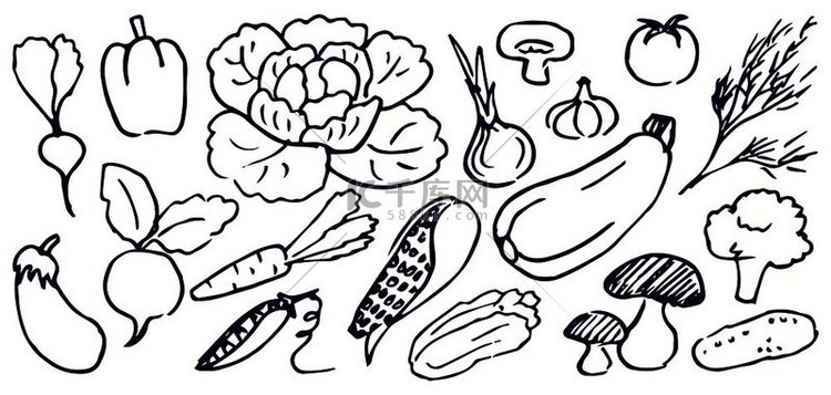 一套手绘黑白蔬菜矢量图和白菜蘑