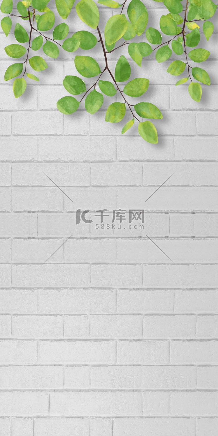 墙壁花卉墙纸砖墙壁纸背景植物