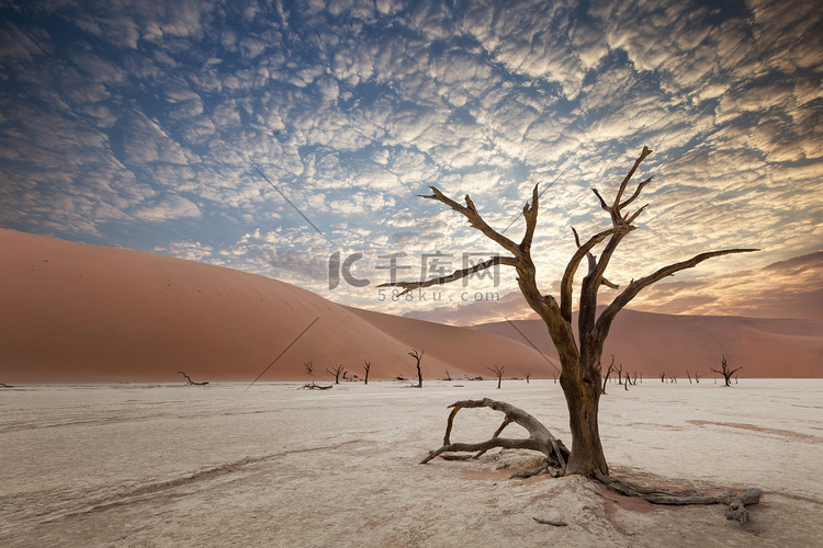 纳米布沙漠 Sossusvlei 盐湖