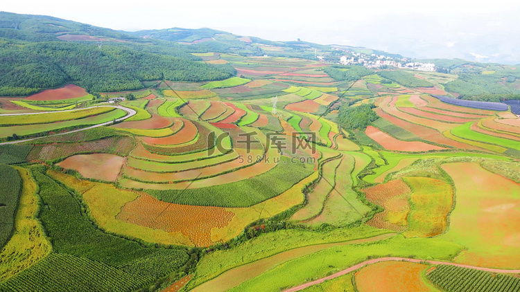 航拍云南红土地农业耕地梯田