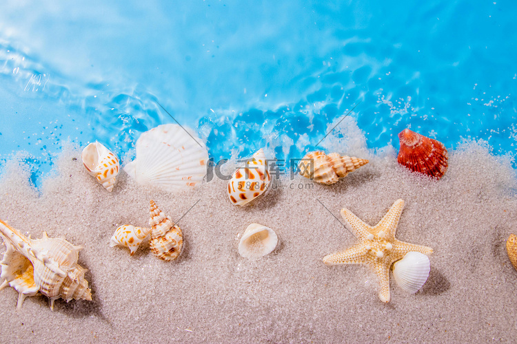 夏日白天贝壳和水波室外贝壳和水