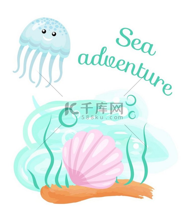 海底的水母和贝壳海上探险的载体