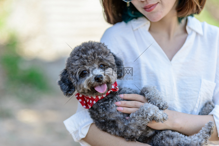 萌宠白天美女狗室外抱着摄影图配