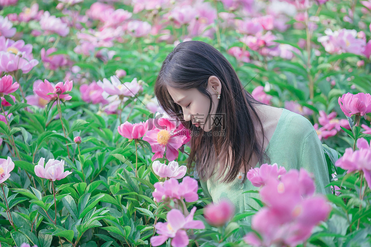 立夏夏季早上美女花丛花田芍药花