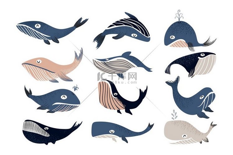 卡通鲸鱼可爱的海洋哺乳动物角色