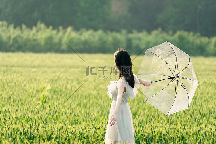 小满芒种白天立夏麦田美女室外打