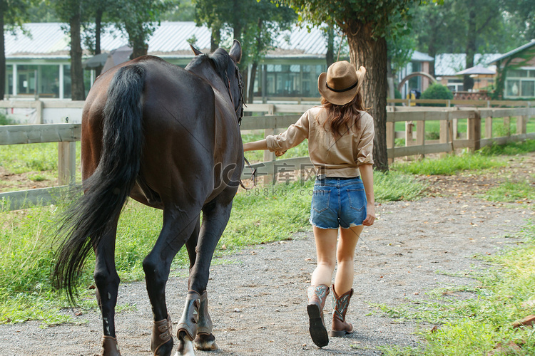 马场内青年女人牵着马的背影