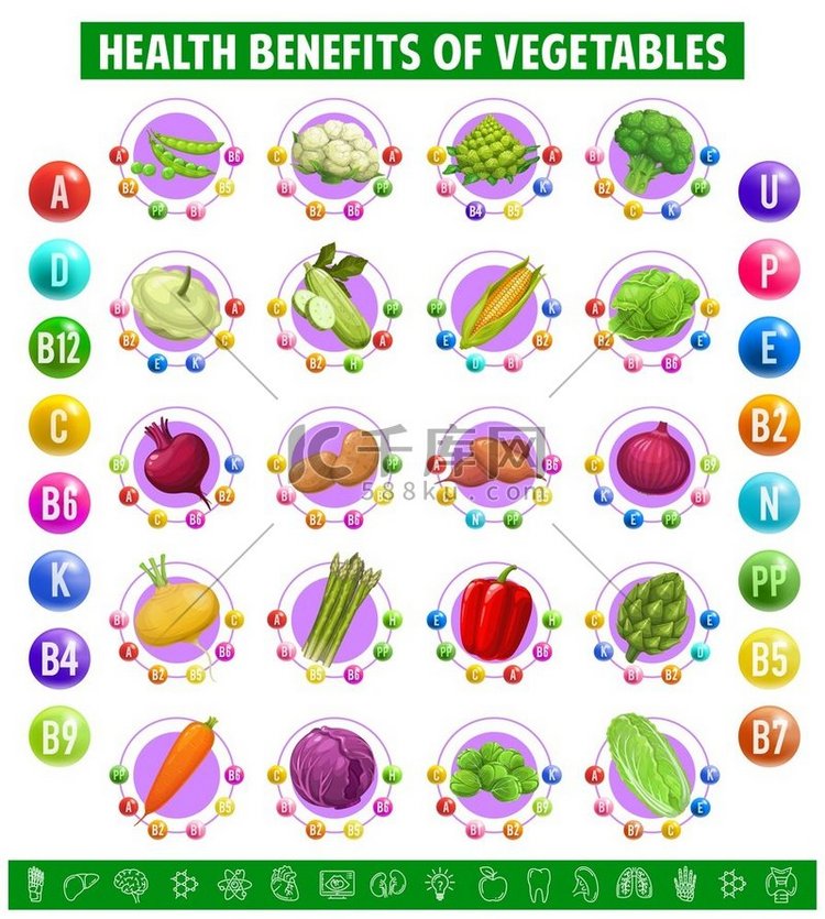 蔬菜中维生素和矿物质含量图表。