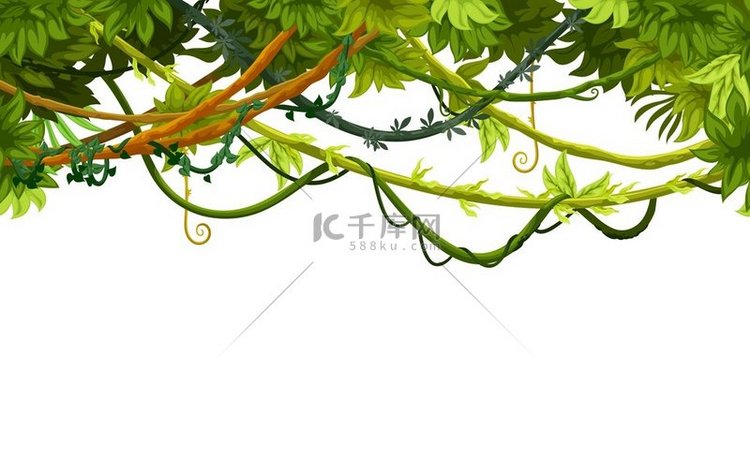 卡通热带丛林背景框架、藤本植物