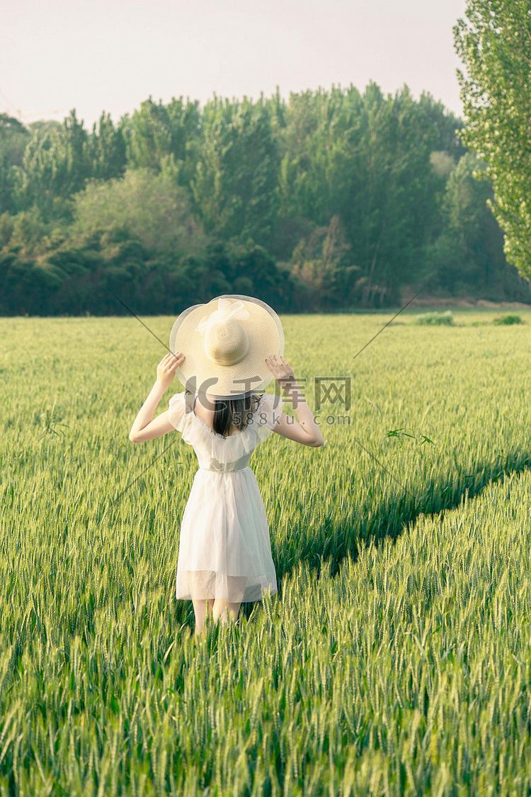 春季女孩早上小满芒种立夏麦田=