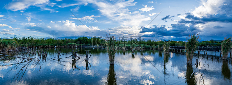 丽江拉市海湿地公园摄影图