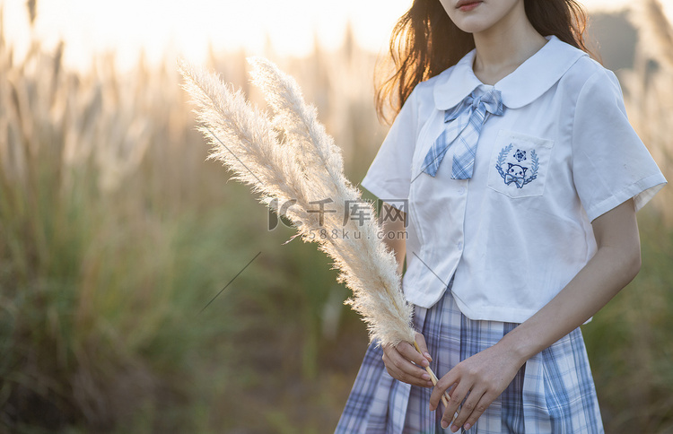 手拿芦苇的女孩下午女孩芦苇荡无