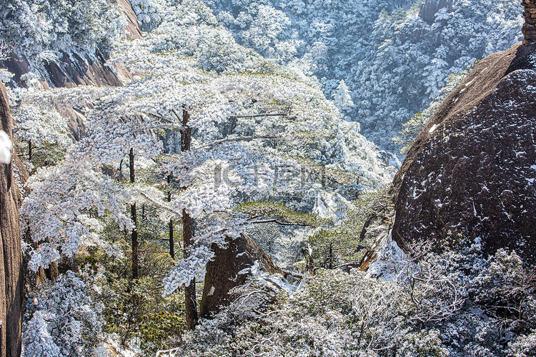 冬季山峰松树和白雪摄影图