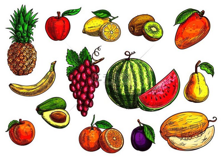 水果套装绘制热带和异国水果的孤