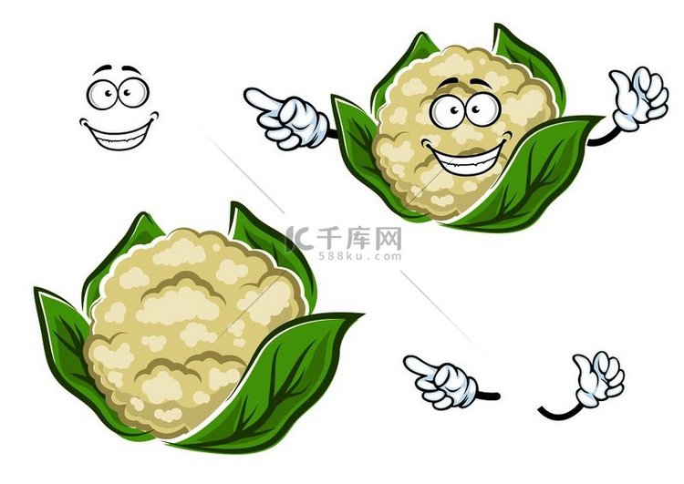 快乐成熟的花椰菜蔬菜卡通人物，