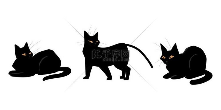 黑猫家畜的姿势和动作深色蓬松的