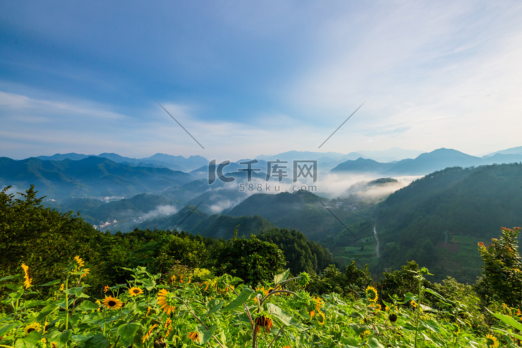 向日葵山峰云海风光夏天向日葵云