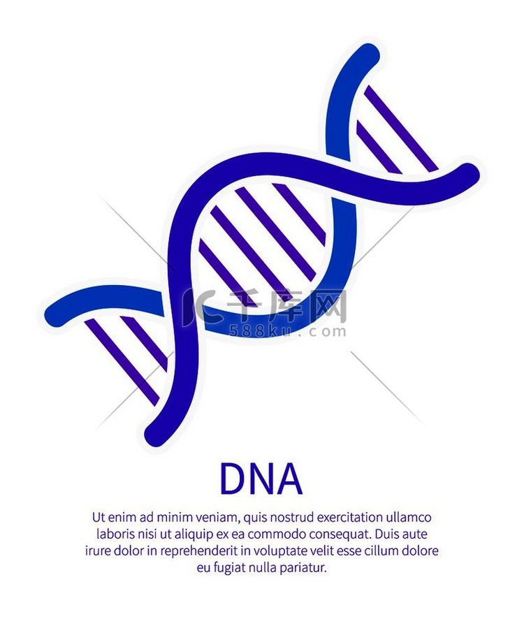 遗传个人代码的 DNA 图标，