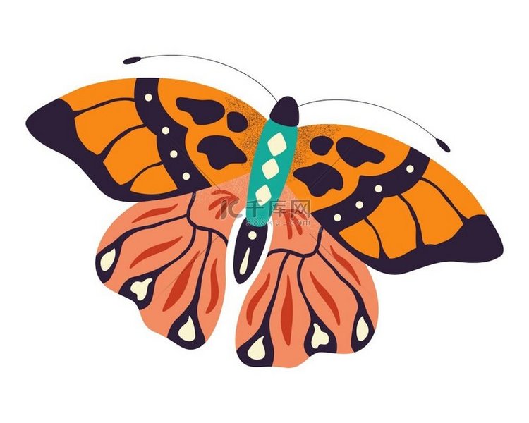 白色背景上的彩色手绘蝴蝶插图。