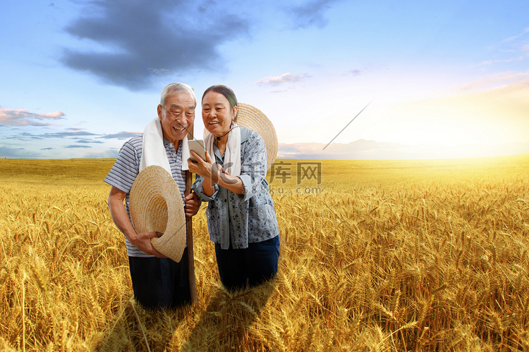 农民夫妇站在麦田里用手机视频