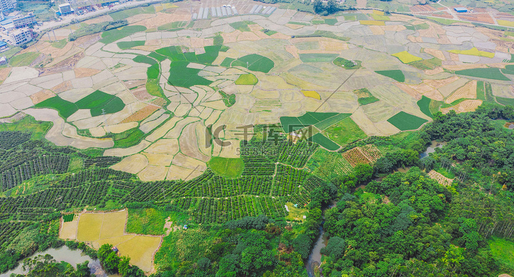 自然中午稻田风光航拍田野无人机