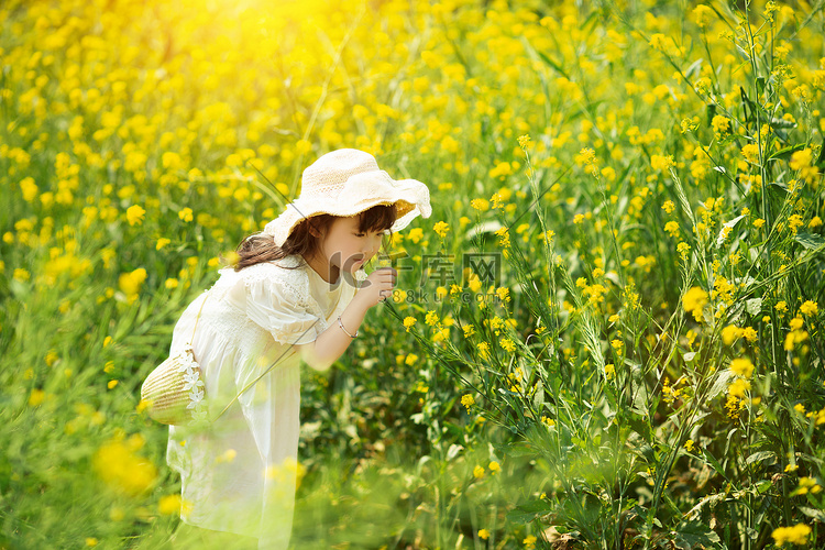 唯美的小女孩低头闻油菜花治愈画