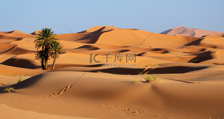 摩洛哥。撒哈拉沙漠的沙丘