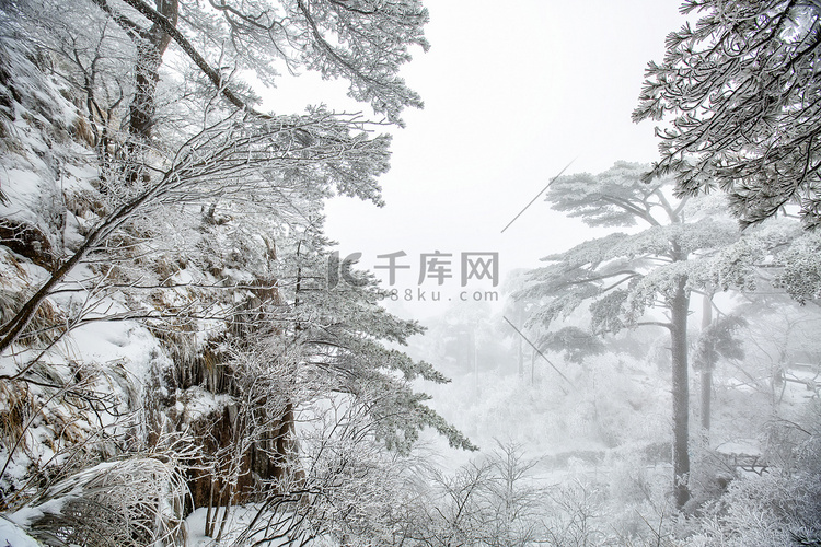 冬天树木白雪和岩石摄影图