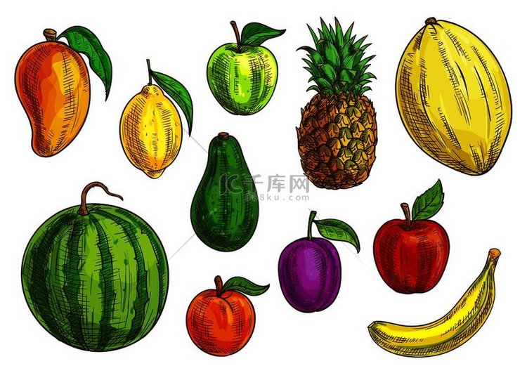 手绘热带和异国情调的水果插图。