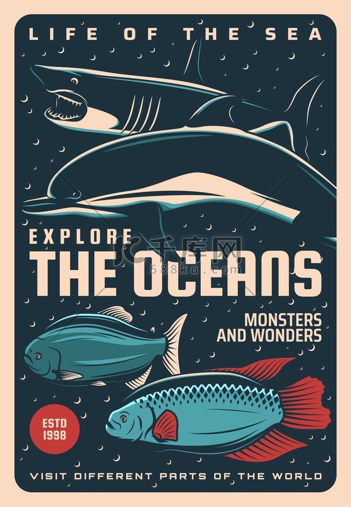 海洋海底世界和海洋生物，水下旅