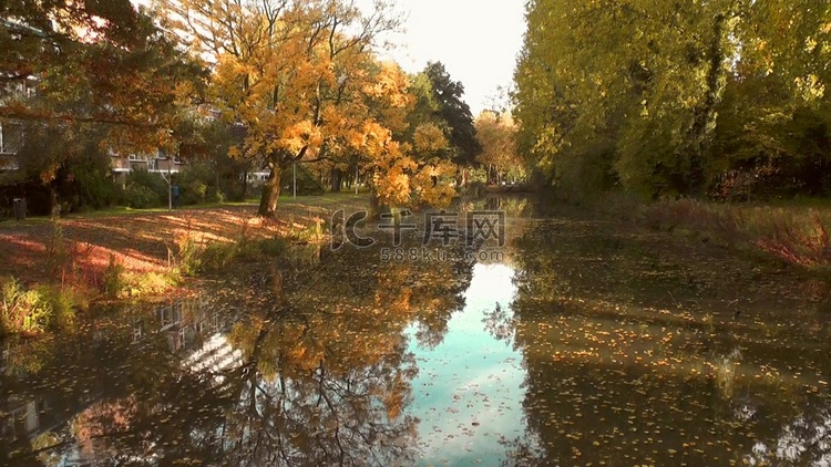 秋天落叶城市河流高清