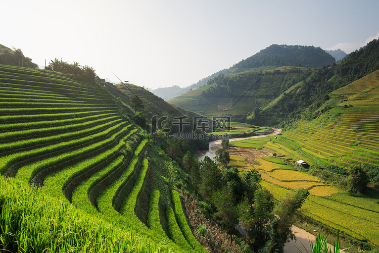 美丽的风景稻田上梯田的木仓柴