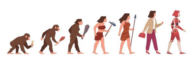 女人的进化。