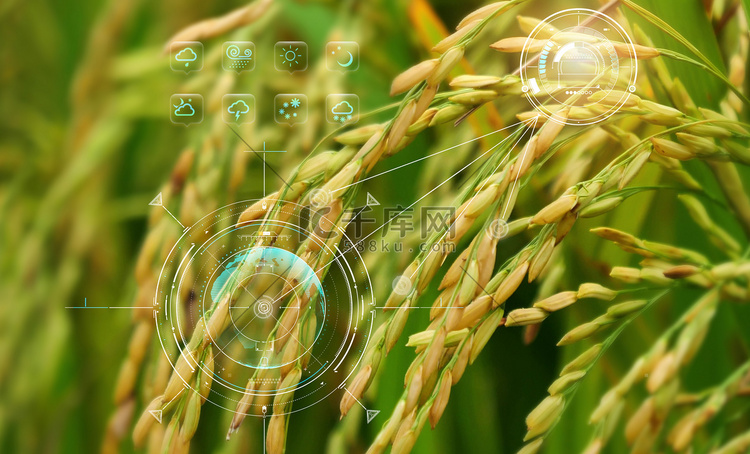 农业科技农业科技合成科技摄影图